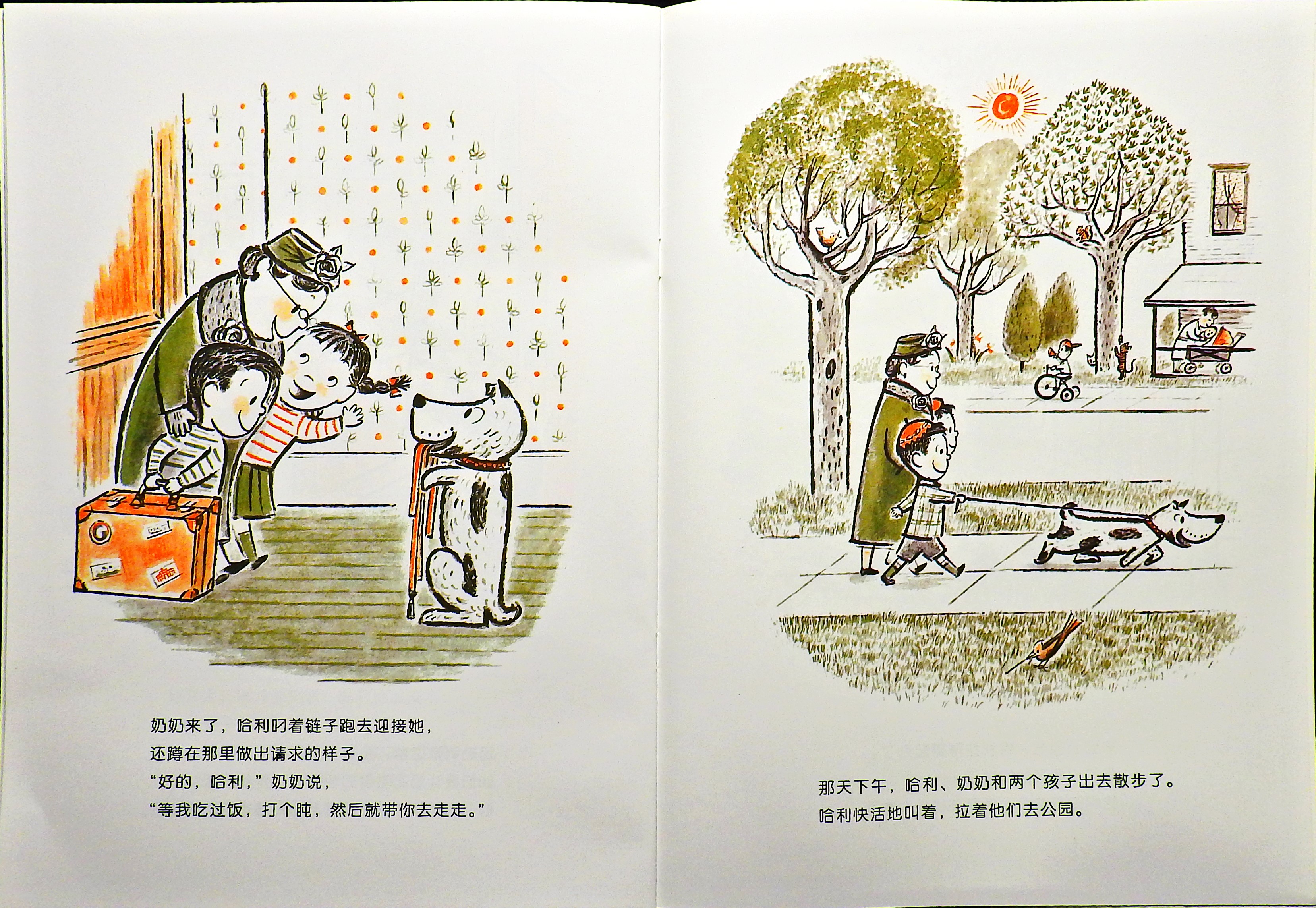 哈利的花毛衣 (15),绘本,绘本故事,绘本阅读,故事书,童书,图画书,课外阅读